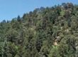Evergreen Content Resources To Increase Your Website Traffic