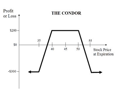 Condor stock option