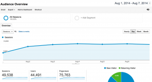 seo-case-study_traffic-week-080114-080714